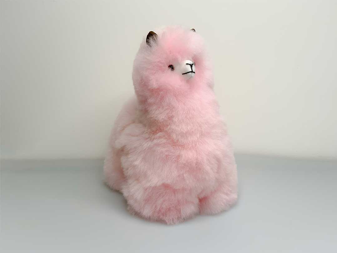 Alpaca Huacaya Figure 22x18cm - Pink -1