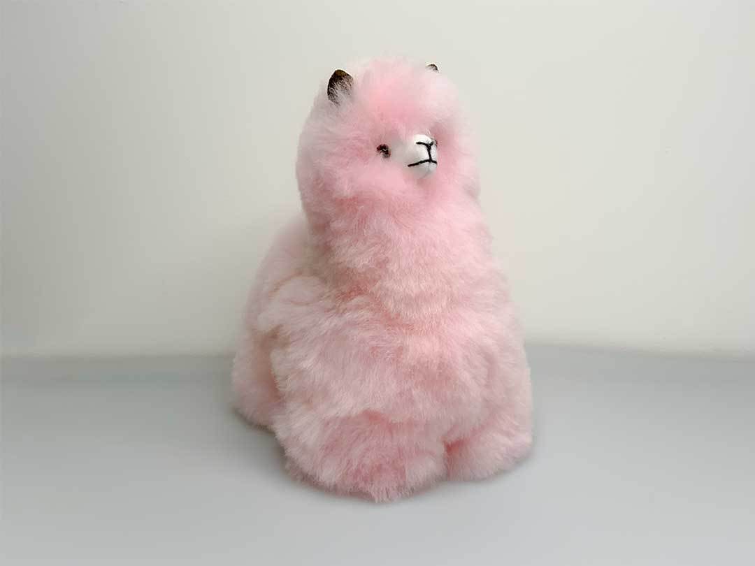 Alpaca Huacaya Figure 22x18cm - Pink - 1